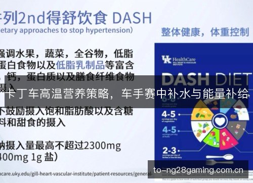 卡丁车高温营养策略,车手赛中补水与能量补给 卡丁车高温营养策略,车手赛中补水与能量补给